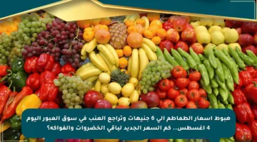 هبوط أسعار الطماطم إلى 6 جنيهات وتراجع العنب في سوق العبور اليوم 4 أغسطس.. كم السعر الجديد لباقي الخضروات والفواكه؟